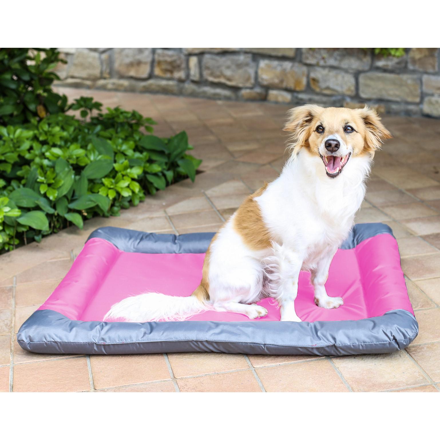 TAPPETINO WATERPROOF SOGNI E CAPRICCI PETS - ROSA - 55X38 CM