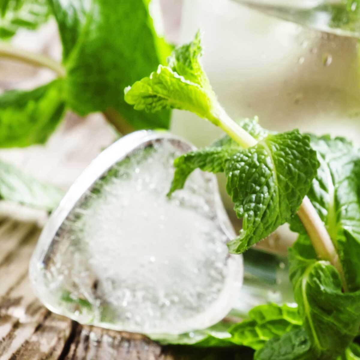 Affiche encadrée mojito frais à la menthe Affiche + cadre en métal - Noir