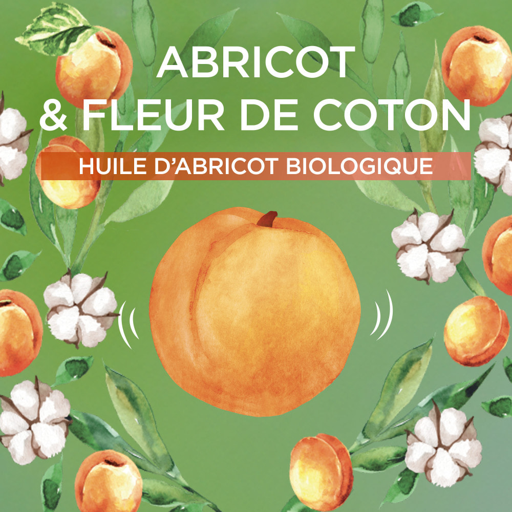 Lot de 12 - Garnier Ultra Doux Huile d'Abricot & Fleur de Coton Enfants 2-en-1 Shampooing & Démêlant 300ml