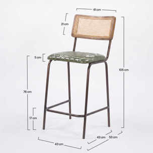 Lot de 2 chaises de bar 76 cm en cannage et cuir vert - Arsène