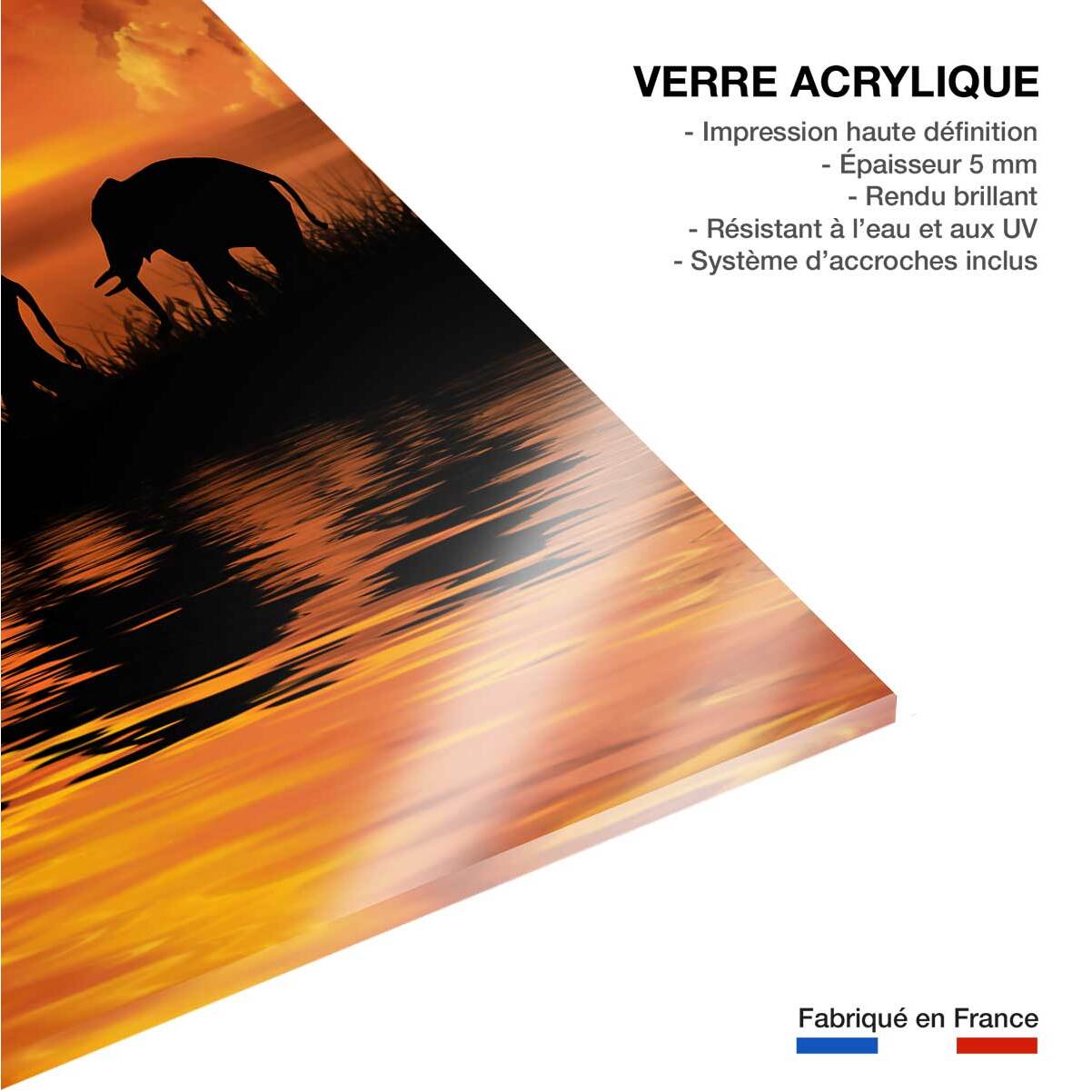 Tableau décoration africaine Tableau plexiglas