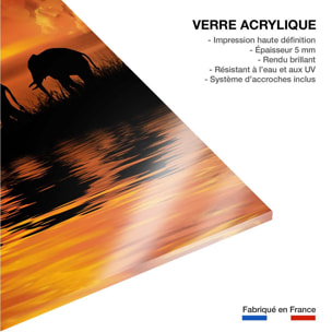 Tableau décoration africaine Tableau plexiglas