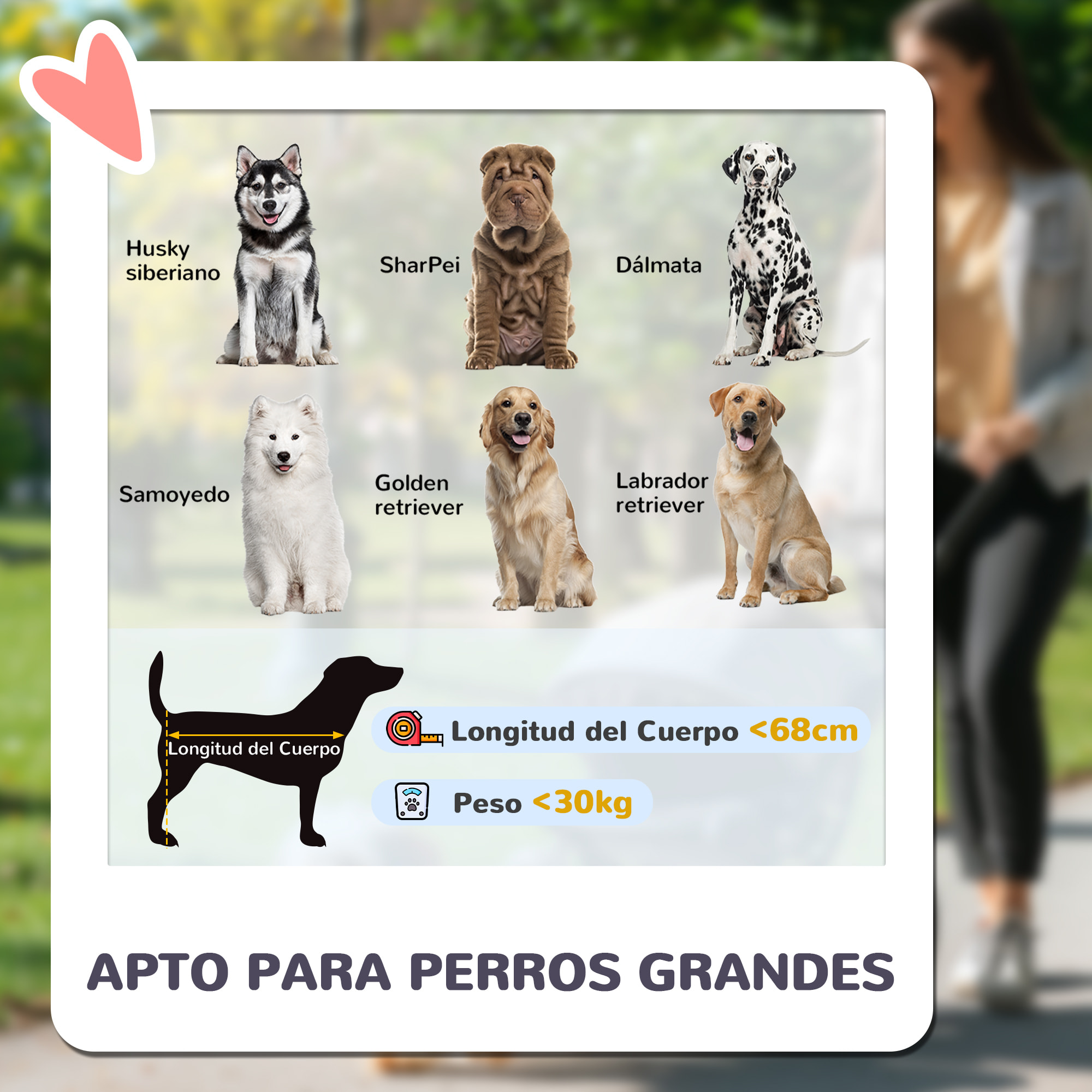 Carrito para Perros Plegable Cochecito para Perros Grandes hasta 30 kg con Ruedas Grandes Correas de Seguridad Marco Amortiguador Cojín Lavable 124x67x100 cm Azul