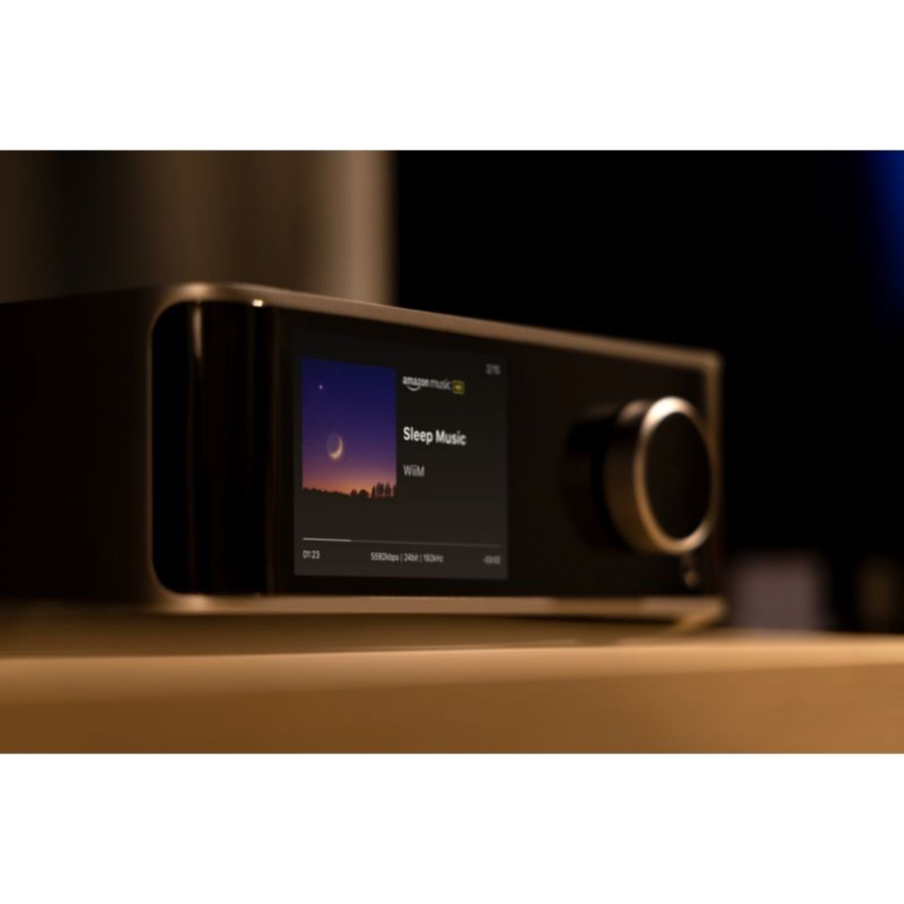 Lecteur réseau HiFi WIIM Ultra Silver