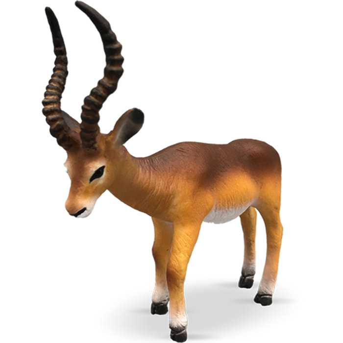 Safari/Antilope
