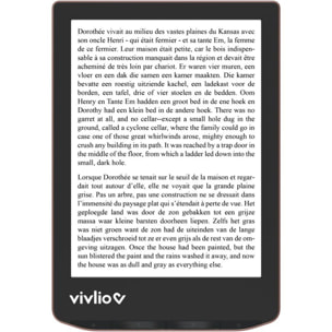 Liseuse eBook VIVLIO LIGHT HD Bronze