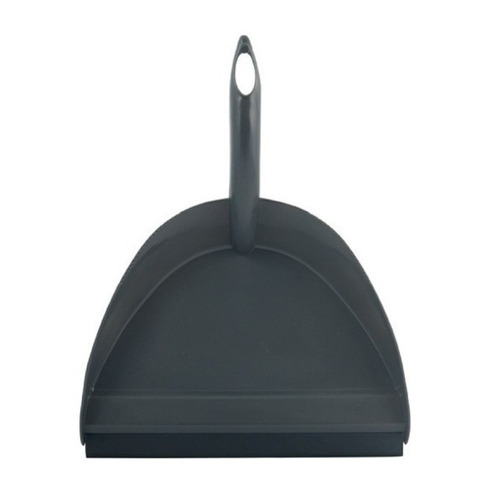 Pelle Ramasse Poussiere PP Gris MSV