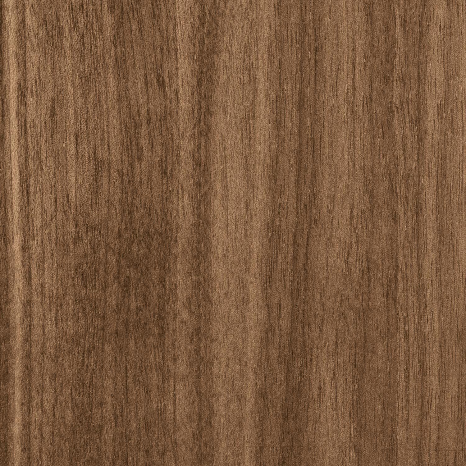 MADIA VESIRA CANNETE 2 ANTE - STRUTTURA NOCE CANALETTO, GRIGIO CARBONE, ANTA SPECCHIO BRONZATO