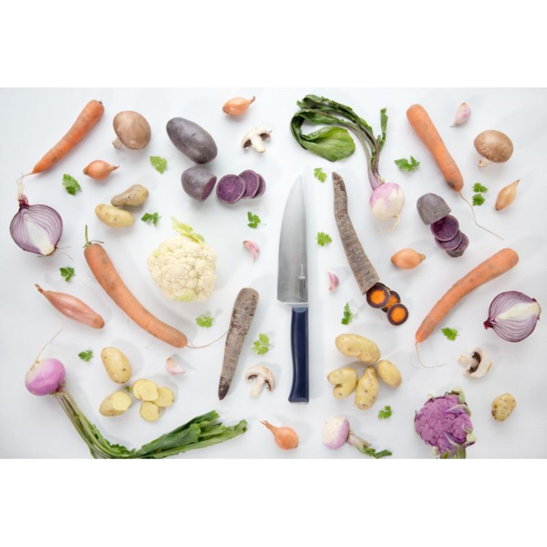 Couteau Chef OPINEL Intempora No218