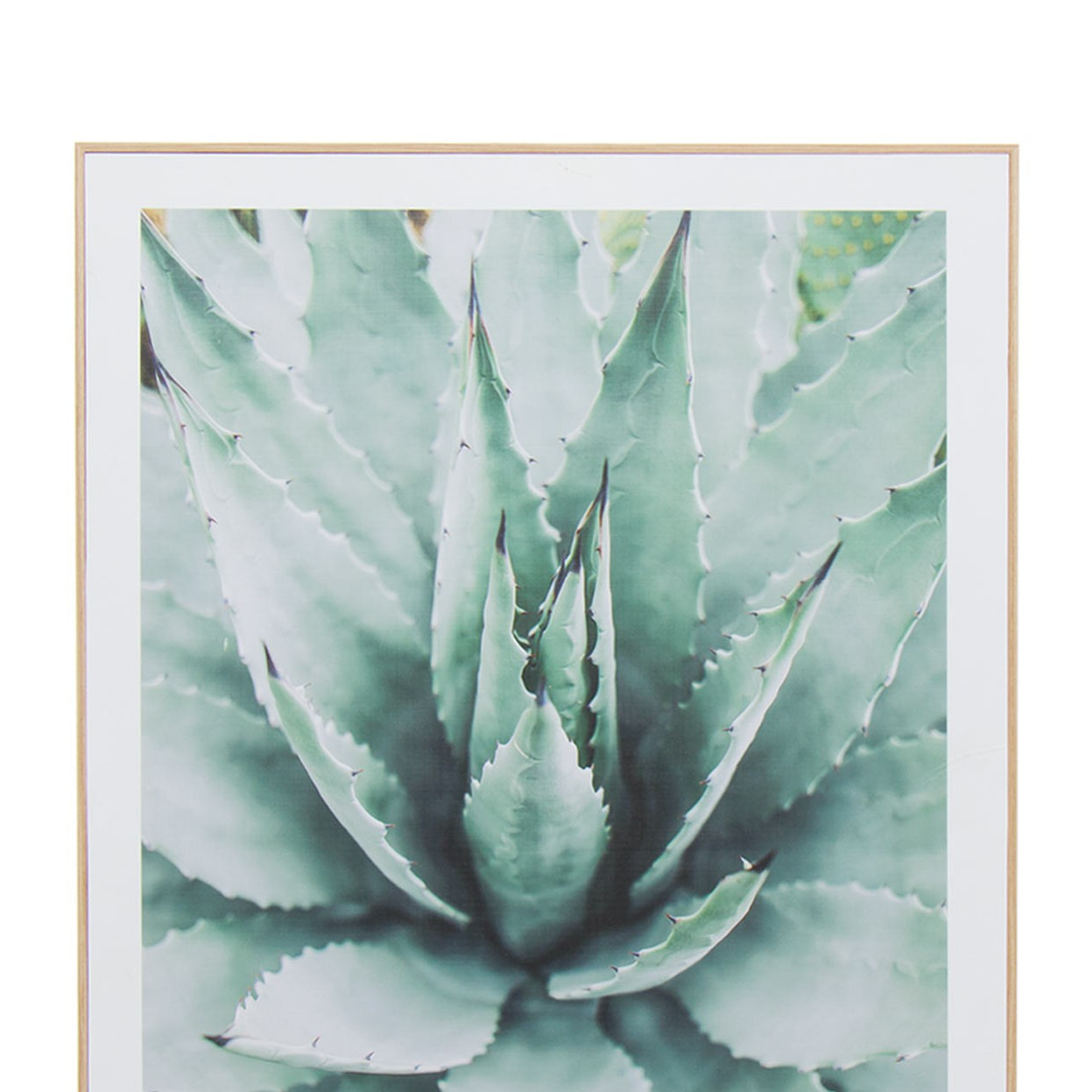 Tableau narvani cactus 40x60cm