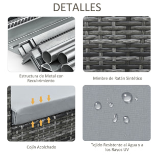Conjunto de Muebles de Jardín de Ratán 4 Piezas con 2 Sofás Dobles Mesa de Centro Mesa con Arcón Cojines Extraíbles para Terraza Patio Exterior 132x69x64 cm Gris