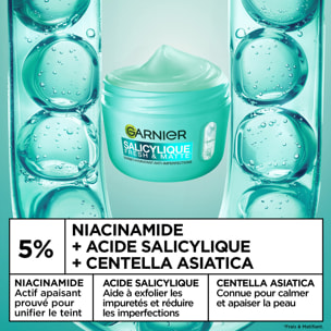 Garnier SkinActive Salicylique Crème Sorbet Hydratante Anti-imperfections - 85 ml