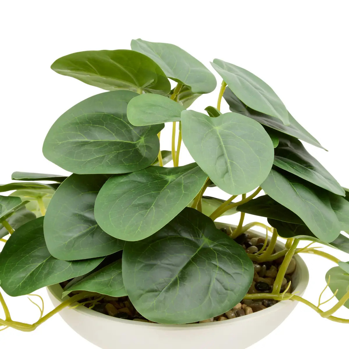 Plante artificielle Nippo H.29cm blanc