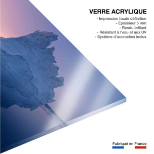 Tableau iceberg disco Tableau plexiglas