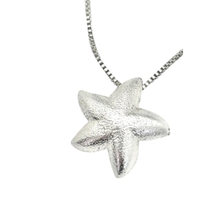 Collar estrella marina en plata 10µ y latón chapado. Largo50