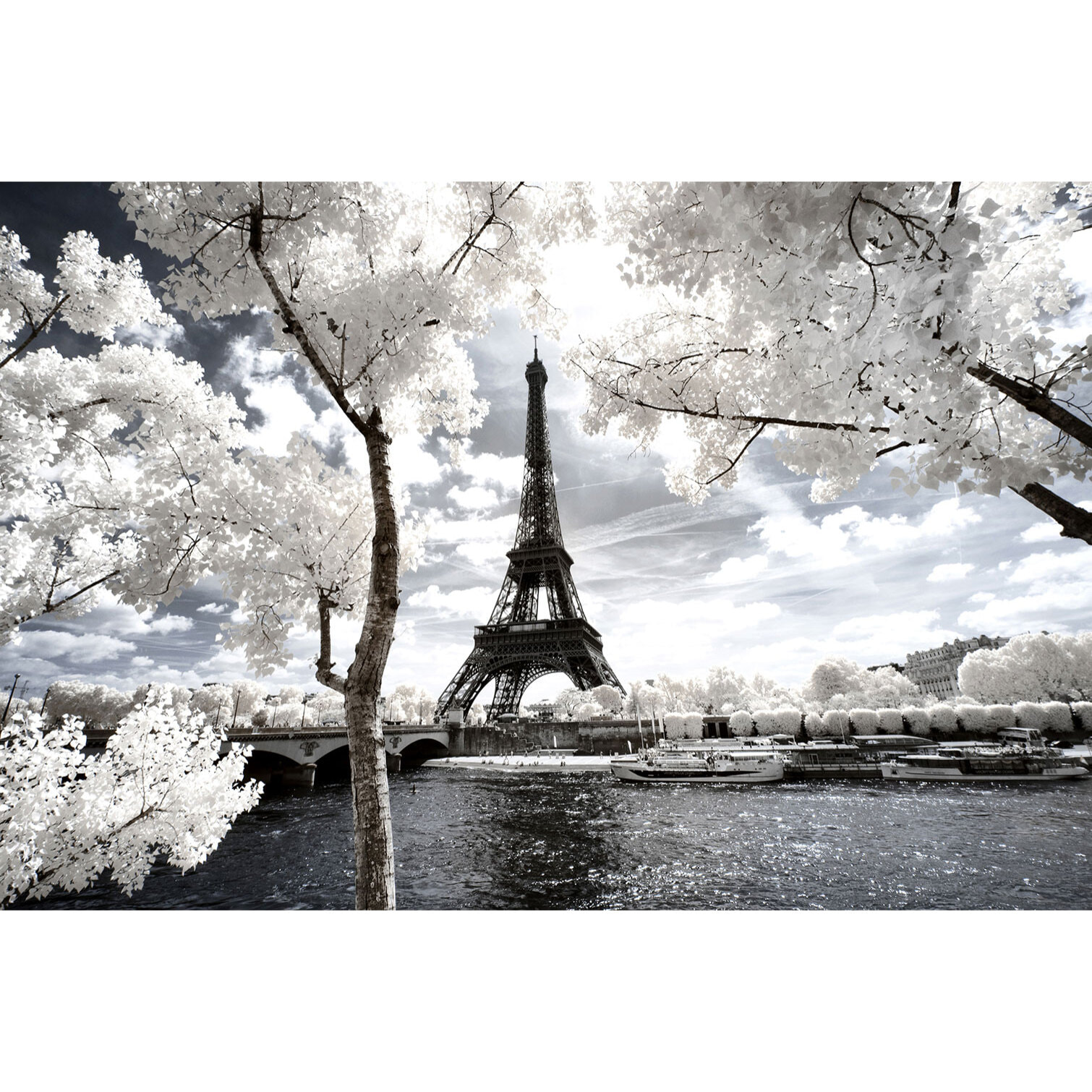Tableau paris tour eiffel blanche  Toile imprimée