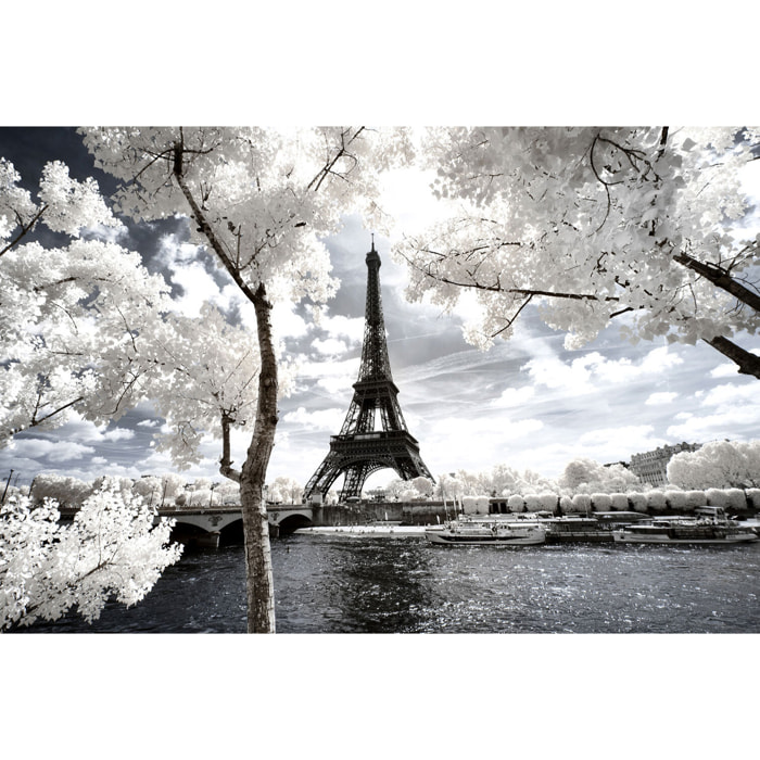 Tableau paris tour eiffel blanche  Toile imprimée
