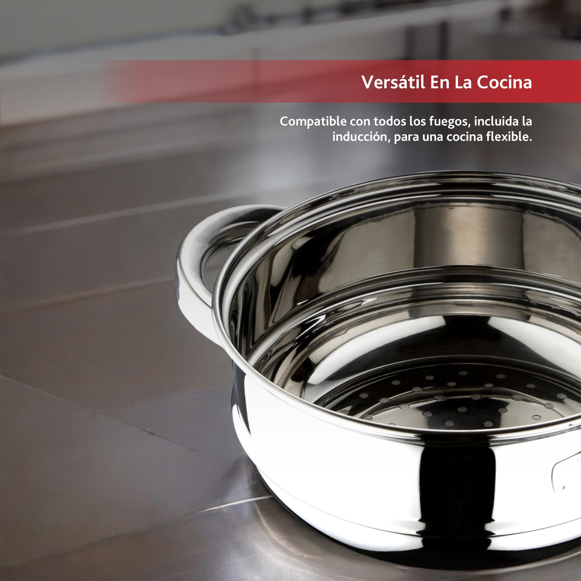 Cacerola Vaporera de Ø24x9,5cm en acero inoxidable y acabado brillante Renberg