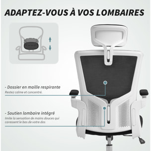 Chaise de bureau manager ergonomique réglable accousoirs relevables noir