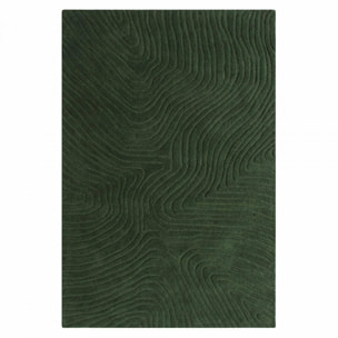 Tapis Salon 160 x 230 cm, Vert, noir, Laine chaude, motif abstrait en relief, création authentique