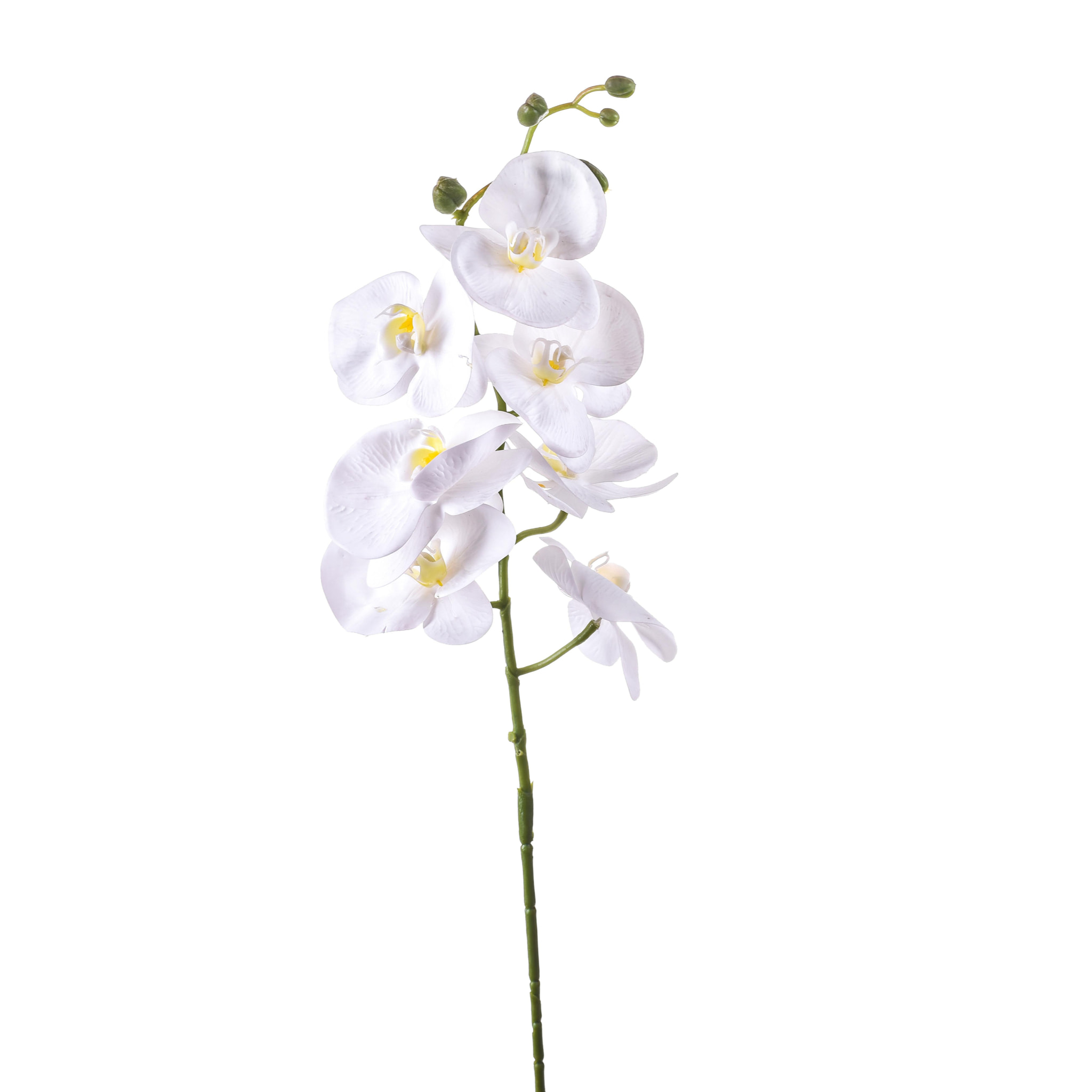 Phalaenopsis Con 7 Fiori. Altezza 96 Cm - Pezzi 6 - 14X96X8cm - Colore: Bianco - Bianchi Dino - Fiori Artificiali