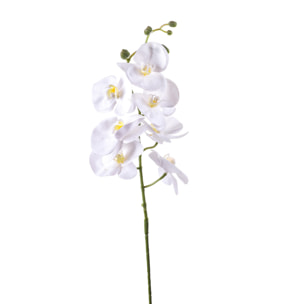 Phalaenopsis Con 7 Fiori. Altezza 96 Cm - Pezzi 6 - 14X96X8cm - Colore: Bianco - Bianchi Dino - Fiori Artificiali