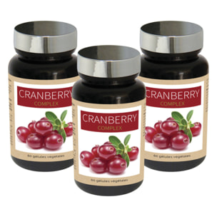 NUTRI EXPERT - Cranberry Complex - Favorise l'Élimination Rénale - Confort urinaire - Canneberge + Myrtille + Ortie + Prêle - Vegan - Lot de 3 produits