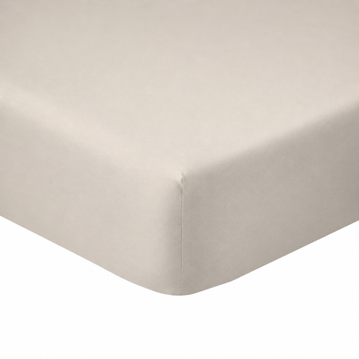 Drap Housse Uni 100% Coton - Essentiel - Grège