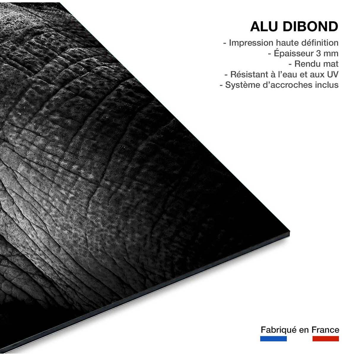 Tableau eléphant close up Tableau alu Dibond