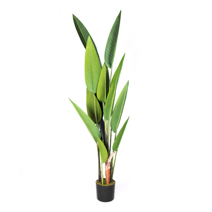 Planta Artificial Ave Del Paraiso 188 Cm