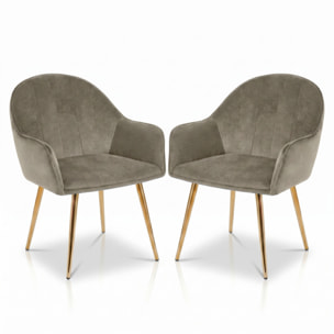 Set 2 poltrone in velluto con gambe oro, sedie imbottite design elegante e moderno, struttura in legno con schienale e seduta confortevoli, rivestimento effetto velluto morbido, ideali per soggiorno camera e ufficio, stile raffinato