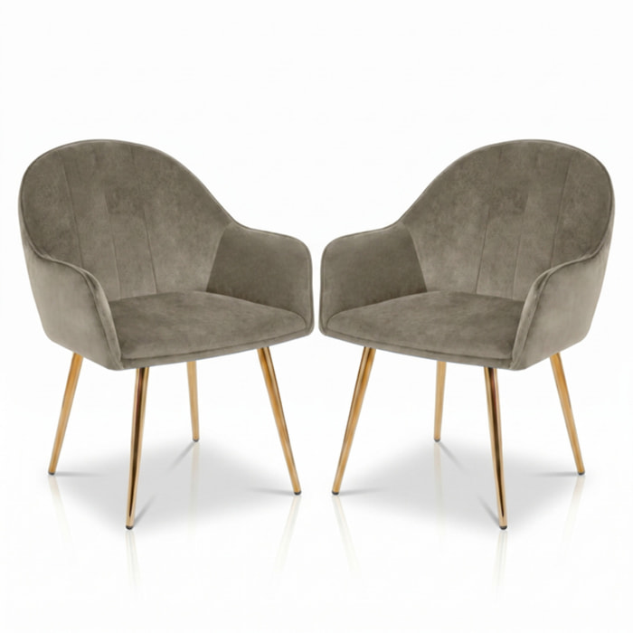 Set 2 poltrone in velluto con gambe oro, sedie imbottite design elegante e moderno, struttura in legno con schienale e seduta confortevoli, rivestimento effetto velluto morbido, ideali per soggiorno camera e ufficio, stile raffinato