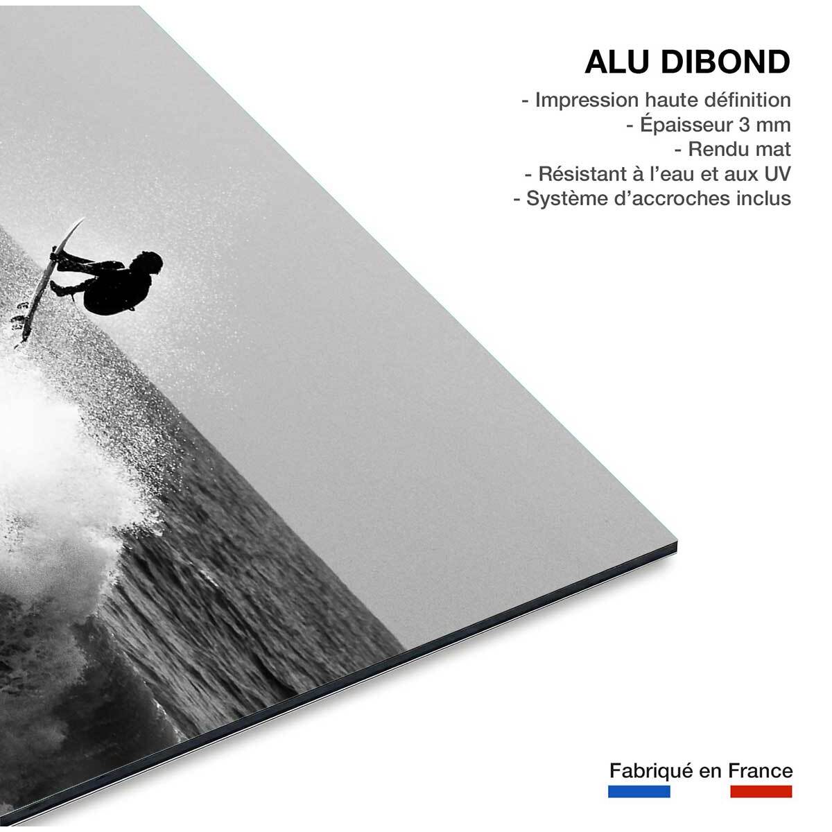 Tableau surf hossegor Tableau alu Dibond