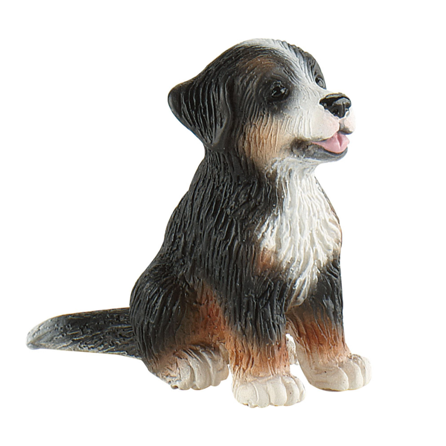 Animali di Casa/Bovaro del Bernese