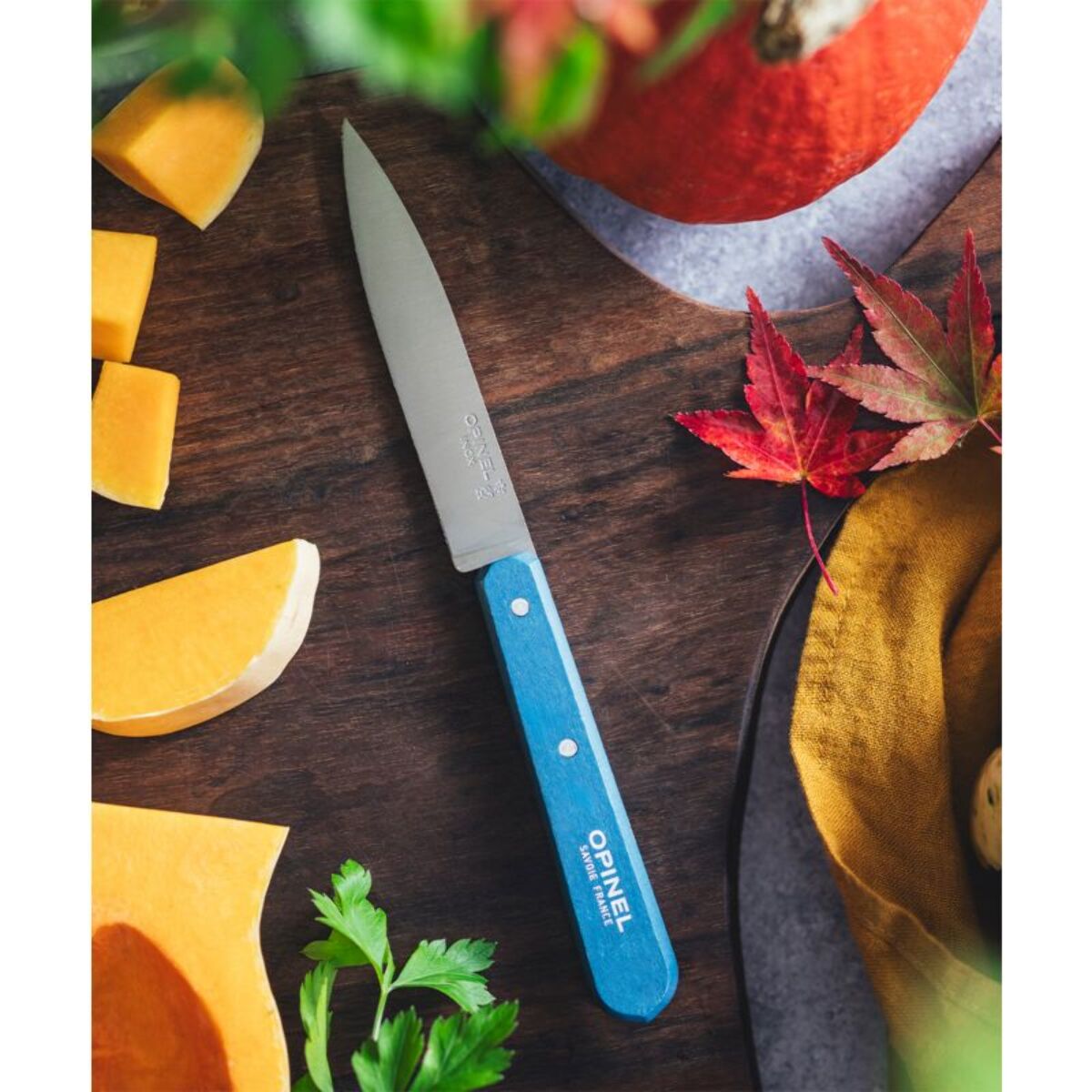 Couteau OPINEL Coffret de 4 pcs N112 Paysage