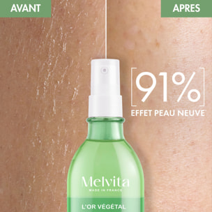 L'Or Végétal - Sérum Corps Hydra Perfecteur