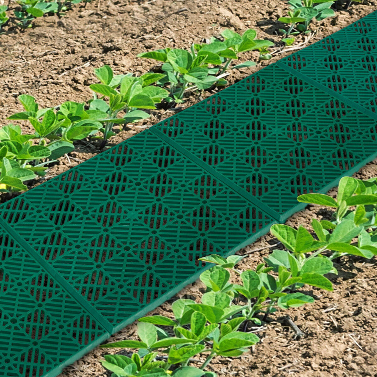 Caillebotis vert - Lot de 5