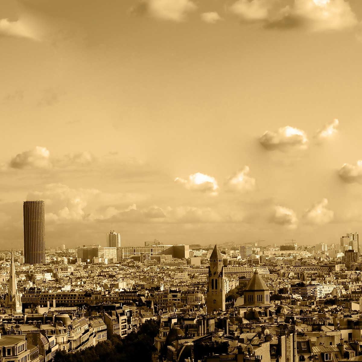 Tableau paris panoramique Toile imprimée