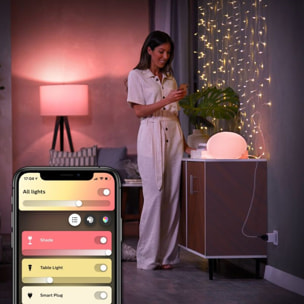 Prise connectée PHILIPS HUE Simple