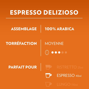 Café Capsules compatibles A Modo Mio Delizioso x180