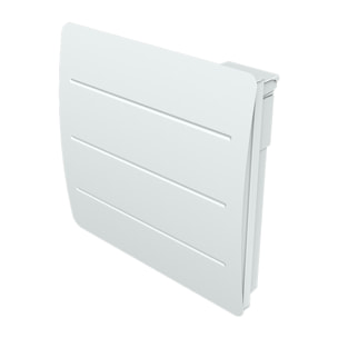 Radiateur inertie en Fonte+Film 1500w