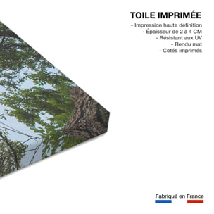 Tableau bord de lac Toile imprimée