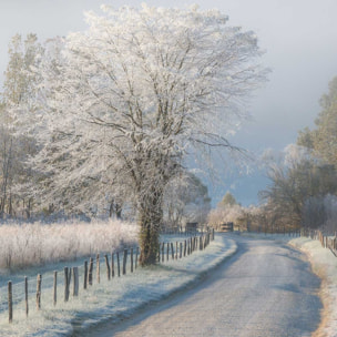 Affiche paysage Un matin glacial Affiche sous cadre bois