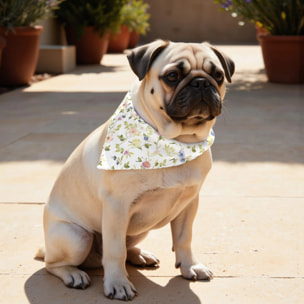Pack de 2 bandanas pour animaux Leeds Verde