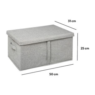 Boîte de rangement 50x31x25cm Gris clair Orga