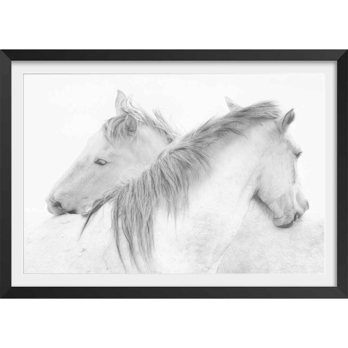 Poster chevaux blancs au crayon de bois Affiche + cadre en bois - Noir