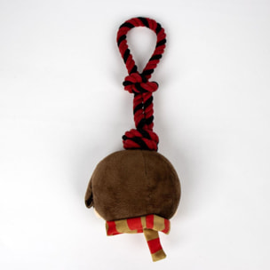 Cuerda Dental Para Perro Personaje Harry Potter