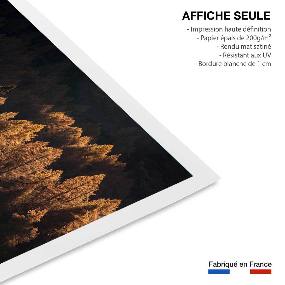 Affiche mélèzes d' automne Affiche seule