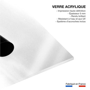 Tableau photo d'actrice de mireille darc en 1967  Tableau plexiglas