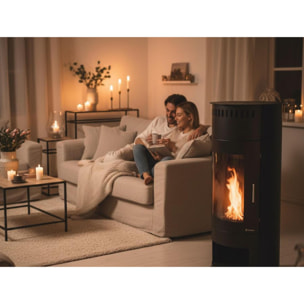 Estufa de etanol en acero negro con puerta de cristal templado BESTFIRE B FLAME PURLINE
